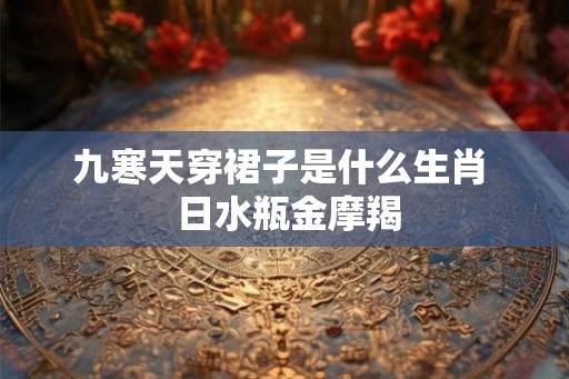 九寒天穿裙子是什么生肖  日水瓶金摩羯