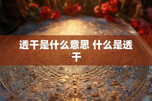 透干是什么意思 什么是透干 透干是什么意思 什么是透干