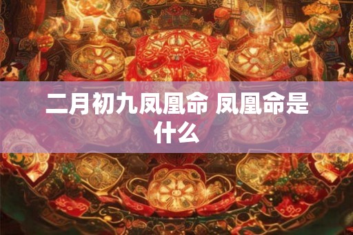 二月初九凤凰命 凤凰命是什么