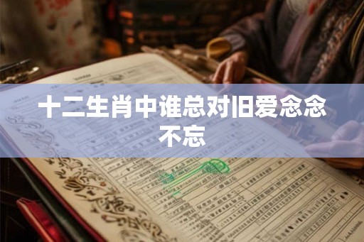 十二生肖中谁总对旧爱念念不忘