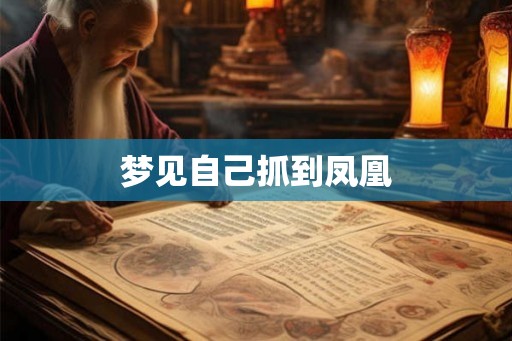 梦见自己抓到凤凰