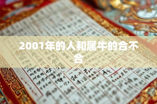 2001年的人和属牛的合不合 2001年的人和属牛的合不合