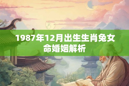 1987年12月出生生肖兔女命婚姻解析