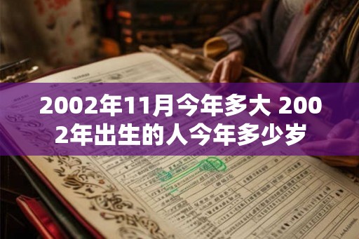 2002年11月今年多大 2002年出生的人今年多少岁