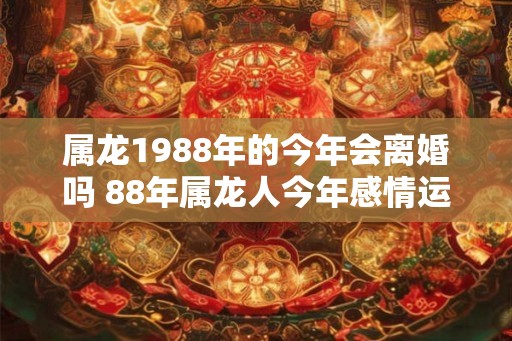 属龙1988年的今年会离婚吗 88年属龙人今年感情运