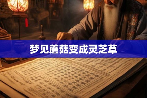 梦见蘑菇变成灵芝草