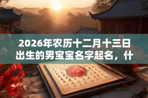 2026年农历十二月十三日出生的男宝宝名字起名，什么名字好？