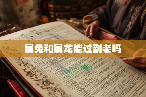 属兔和属龙能过到老吗