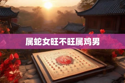 属蛇女旺不旺属鸡男 属蛇女旺不旺属鸡男