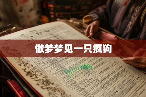 做梦梦见一只疯狗