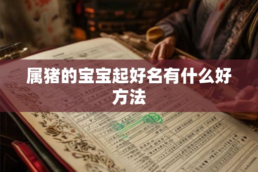 属猪的宝宝起好名有什么好方法 属猪的宝宝起好名有什么好方法