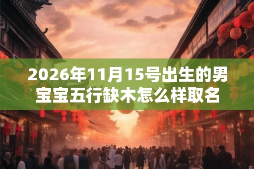2026年11月15号出生的男宝宝五行缺木怎么样取名