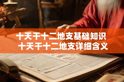 十天干十二地支基础知识 十天干十二地支详细含义 十天干十二地支基础知识 十天干十二地支详细含义
