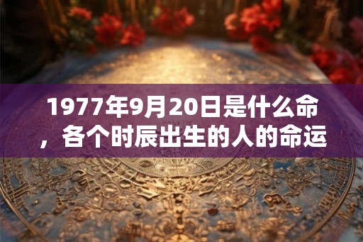 1977年9月20日是什么命,各个时辰出生的人的命运 1977年9月20日是什么命,各个时辰出生的人的命运