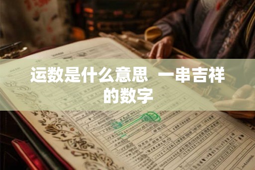 运数是什么意思  一串吉祥的数字