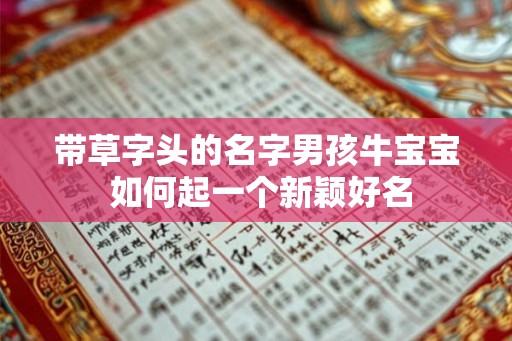 带草字头的名字男孩牛宝宝 如何起一个新颖好名