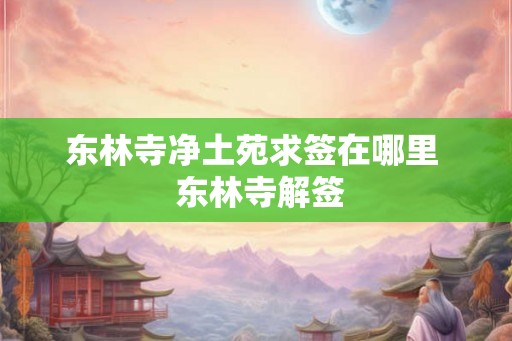 东林寺净土苑求签在哪里  东林寺解签