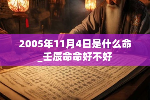 2005年11月4日是什么命_壬辰命命好不好