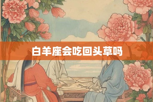 白羊座会吃回头草吗