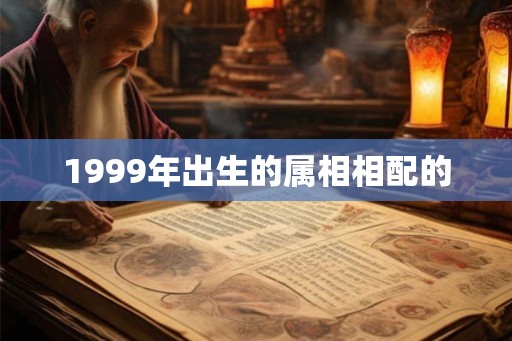 1999年出生的属相相配的