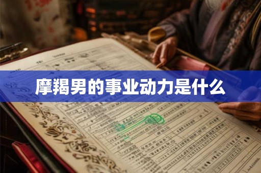 摩羯男的事业动力是什么