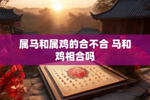 属马和属鸡的合不合 马和鸡相合吗