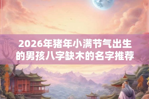 2026年猪年小满节气出生的男孩八字缺木的名字推荐