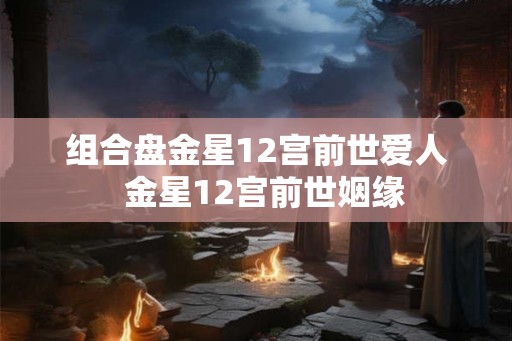 组合盘金星12宫前世爱人  金星12宫前世姻缘
