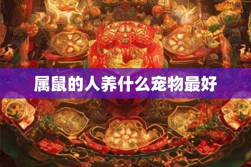 属鼠的人养什么宠物最好