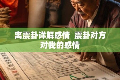 离震卦详解感情  震卦对方对我的感情