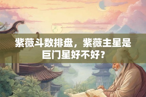 紫薇斗数排盘，紫薇主星是巨门星好不好？