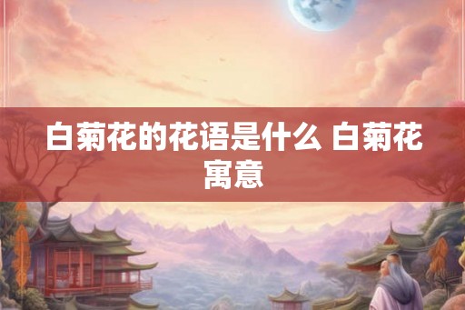 白菊花的花语是什么 白菊花寓意