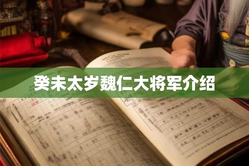 癸未太岁魏仁大将军介绍
