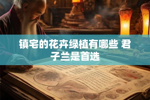 镇宅的花卉绿植有哪些 君子兰是首选