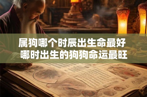 属狗哪个时辰出生命最好 哪时出生的狗狗命运最旺 属狗哪个时辰出生命最好 哪时出生的狗狗命运最旺