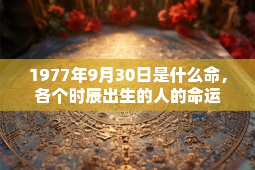 1977年9月30日是什么命,各个时辰出生的人的命运 1977年9月30日是什么命,各个时辰出生的人的命运