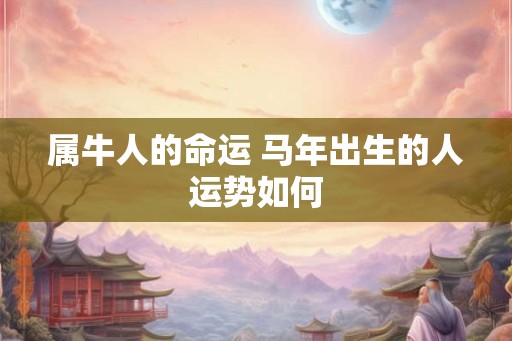 属牛人的命运 马年出生的人运势如何