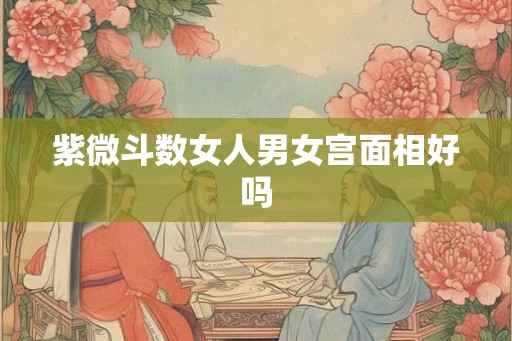 紫微斗数女人男女宫面相好吗