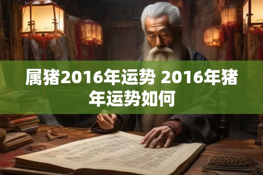 属猪2016年运势 2016年猪年运势如何