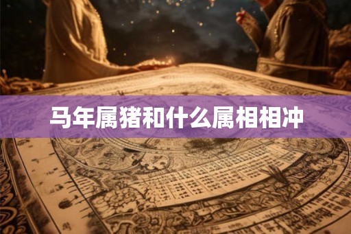 马年属猪和什么属相相冲