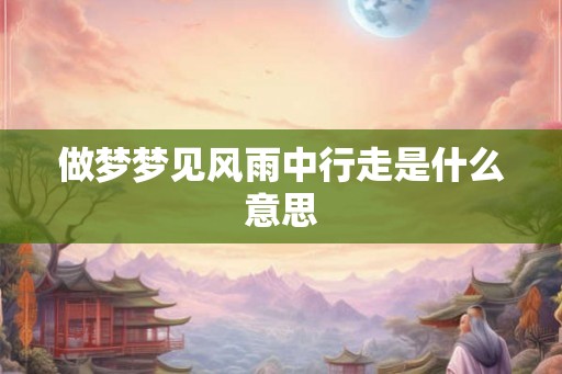 做梦梦见风雨中行走是什么意思