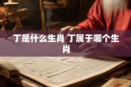 丁是什么生肖 丁属于哪个生肖