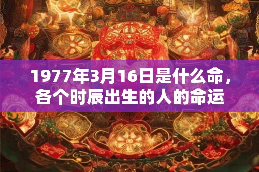 1977年3月16日是什么命，各个时辰出生的人的命运