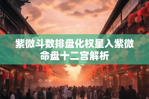 紫微斗数排盘化权星入紫微命盘十二宫解析