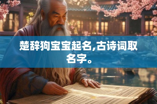 楚辞狗宝宝起名,古诗词取名字。