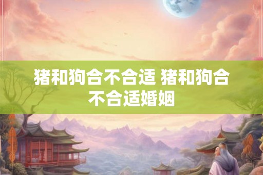 猪和狗合不合适 猪和狗合不合适婚姻