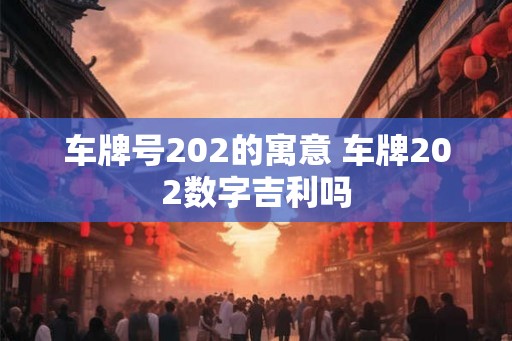车牌号202的寓意 车牌202数字吉利吗