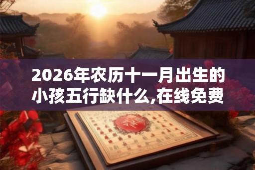 2026年农历十一月出生的小孩五行缺什么,在线免费查询