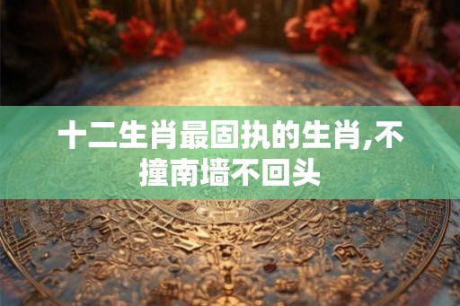 十二生肖最固执的生肖,不撞南墙不回头