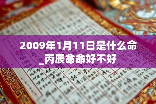 2009年1月11日是什么命_丙辰命命好不好